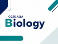 GCSE AQA Biology Anki Deck