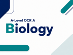 A-Level OCR A Biology Anki Flashcards